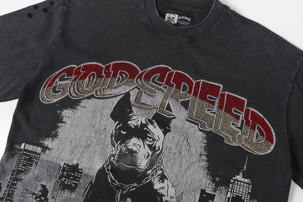 Godspeed Dog Graphic Distressed Sleeve T-Shirt — detail